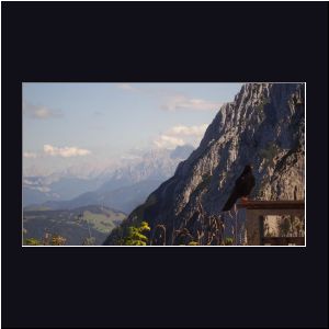 2011-09-17_14-35_WilderKaiser_StripsenjochHaus_Dohlen (2)b.JPG